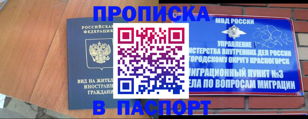 найти адрес прописки в Сураже